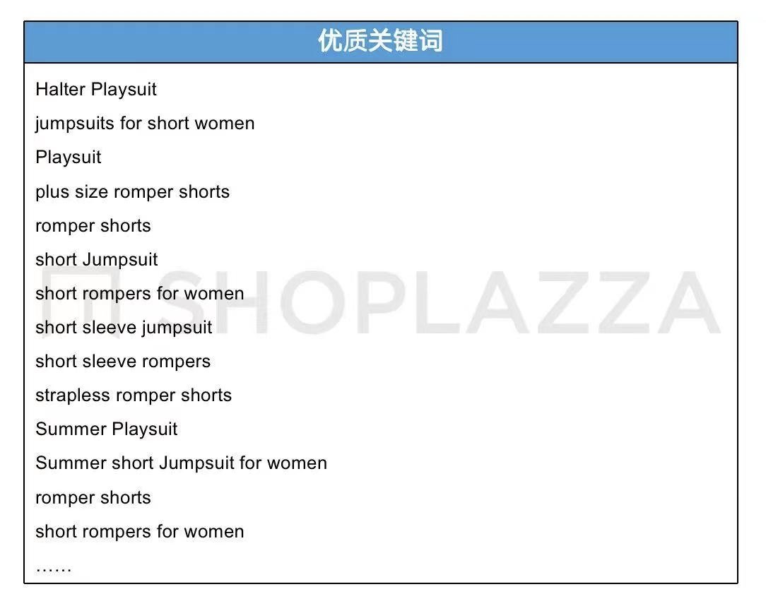 独立站营销攻略：高效选择 Google 搜索广告关键词的方法 172501314134270720251026_ -10