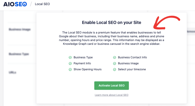 All in One SEO Review (2025): 这个插件值得一试吗？ aioseo-explanations20251118_ -8
