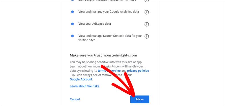 MonsterInsights 2025 年评测：它是最好的 Google Analytics 插件吗？ allow-mi-connect-ga20251118_ -10