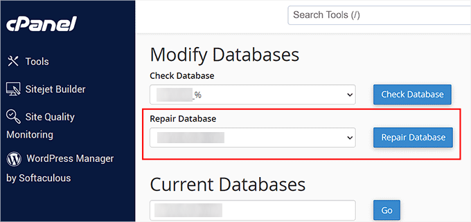 如何修复 WordPress 中建立数据库连接时出现的错误 click-repair-database-button-120251114_ -7