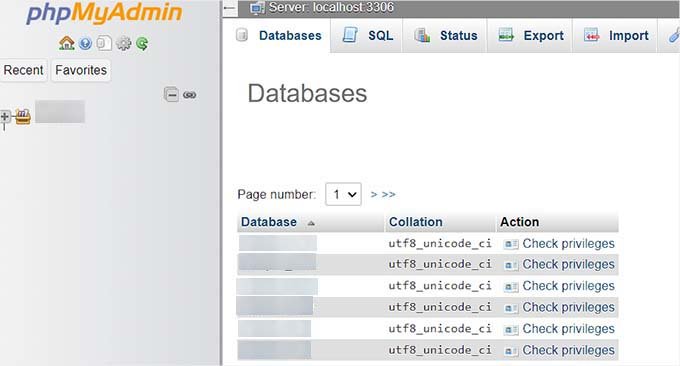 如何修复 WordPress 中建立数据库连接时出现的错误 connect-phpmyadmin-with-database-120251114_ -10