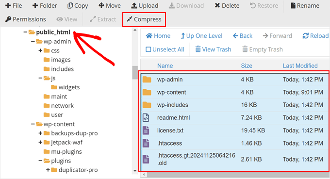 如何备份 WordPress 多站点（使用插件和不使用插件） cpanel-compress-public-html20251120_ -5