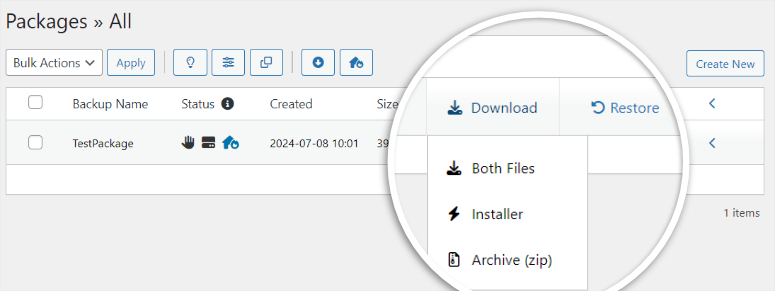如何备份 WordPress 多站点（使用插件和不使用插件） duplicator-pro-download-package20251120_ -27