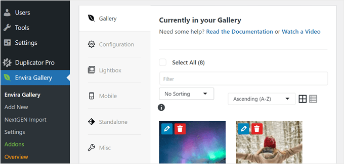 如何在 WordPress 中将 NextGEN Gallery 切换到 Envira Gallery envira-gallery-settings-min20251120_ -8