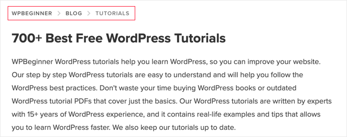 如何提升 WordPress 用户体验(13 个实用技巧) taxonomyseo-breadcrumbs-example20251109_ -12 如何提升 WordPress 用户体验(13 个实用技巧) taxonomyseo-breadcrumbs-example20251109_ -12