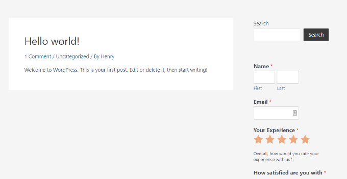 如何在 WordPress 中创建调查问卷（使用 Beautiful Reports） view-survey-form-in-sidebar20251114_ -22