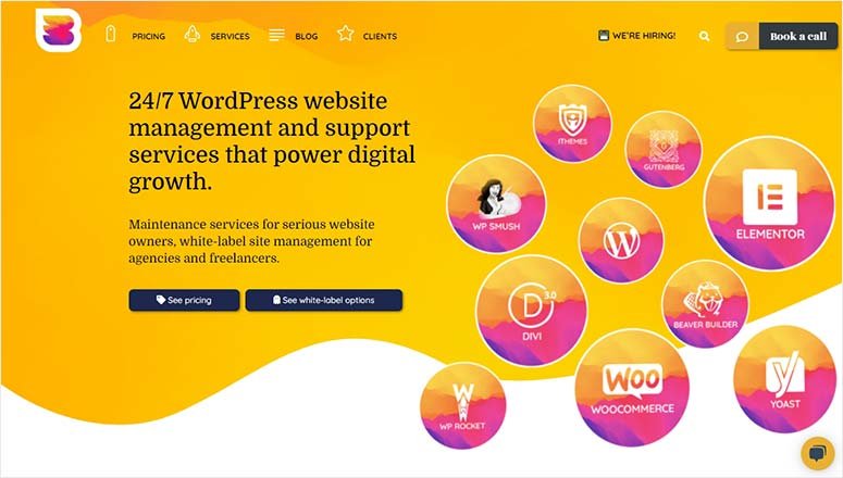 8 款最佳 WordPress 维护服务及方案（对比评测） wp-buffs20251119_ -2