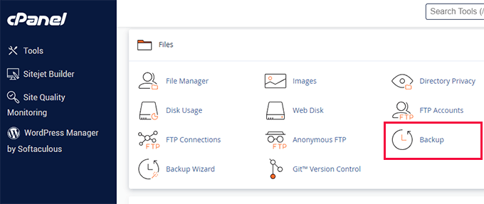 如何手动备份 WordPress 数据库（分步指南） cpanel-backup20251201_ -12