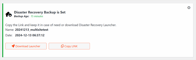 如何备份您的 WordPress 网站（终极指南） duplicator-disaster-choose-min20251201_ -16