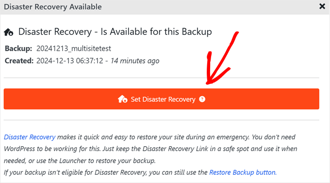 如何备份您的 WordPress 网站（终极指南） duplicator-set-disaster-min20251201_ -15